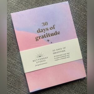 Betterday Studio Gratitude Journal in Pink and Purple